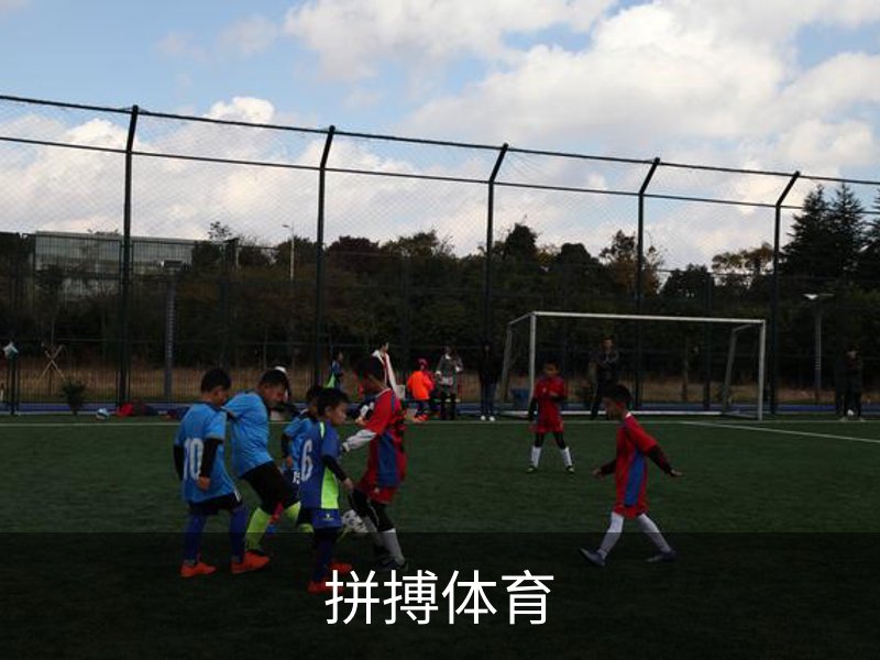 拼搏体育品牌故事
